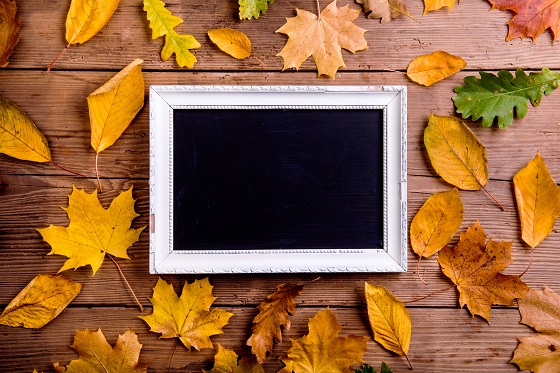 autumn-leaf-composition-with-picture-frame-copy-P6EJ8AL